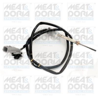 Sensor, exhaust gas temperature